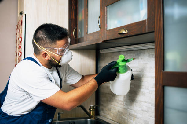 Best Commercial Pest Control Services  in Blackwell, OK