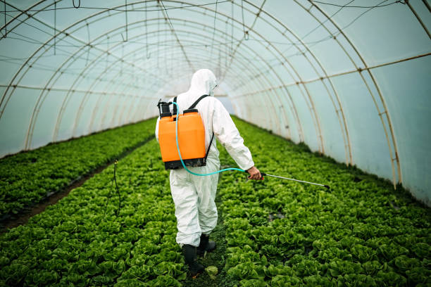 Best Best Pest Control Companies  in Blackwell, OK