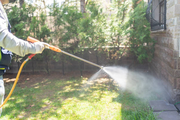 Professional Pest Control in Blackwell, OK