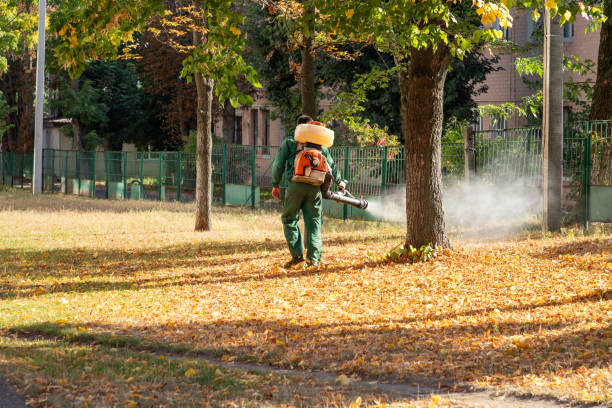 Best Bed Bug Extermination  in Blackwell, OK