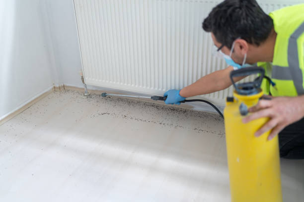 Best Exterminator Services  in Blackwell, OK